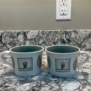 Pfaltzgraff Naturewood Mug Set of 2 Cottagecore coastal grandma